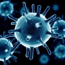 passive antimicrobial coatings
