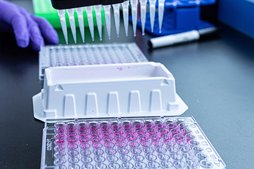 Cytotoxicity Testing