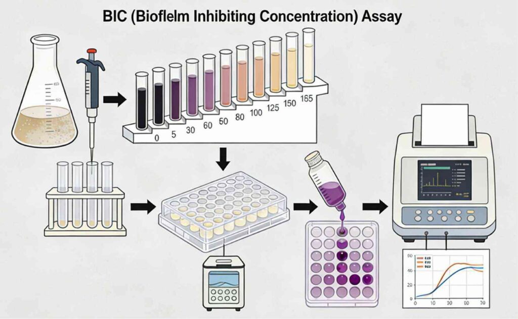 Biofilm Prevention Testing