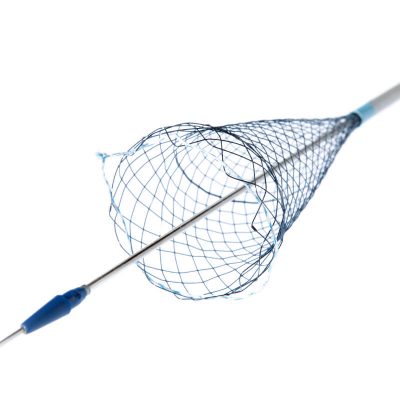 N neurovascular stents