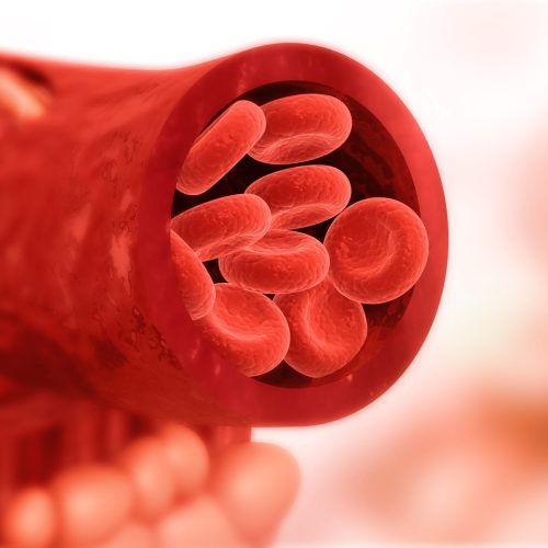 Blood cells in artery. 3d illustration