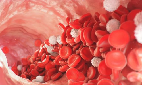 Red and white blood cells move inside the artery. Red blood cells carry nutrients for the whole body, for example, oxygen. Medical science illustration Red and white blood cells move inside the artery. Red blood cells carry nutrients for the whole body, for example, oxygen. Medical science illustration. 3d rendering