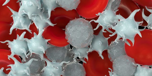 red blood cells,activated platelet and white blood cells red blood cells,activated platelet and white blood cells microscopic photos